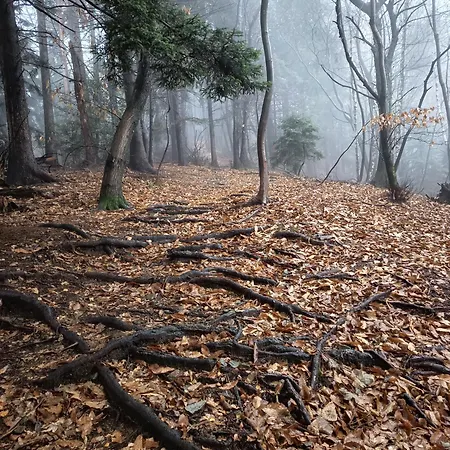 Apartament Cherryhome Arizzano