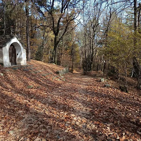 Cherryhome * Arizzano